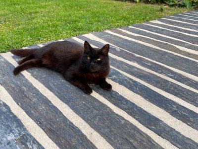 poser des piquets en schiste dans son jardin