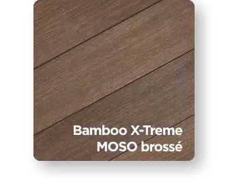 bambou xtreme brosse