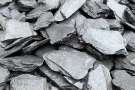 Paillettes Ardoise Angevine - 40/70 mm