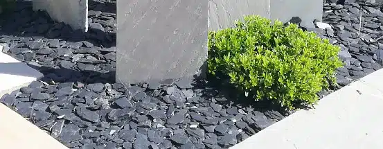 Usage du paillage avec les plantes dans le jardin